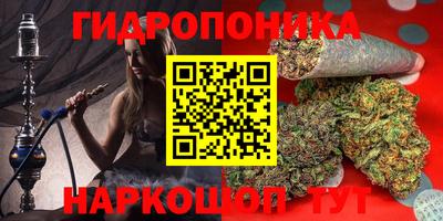 прущая мука Гусев