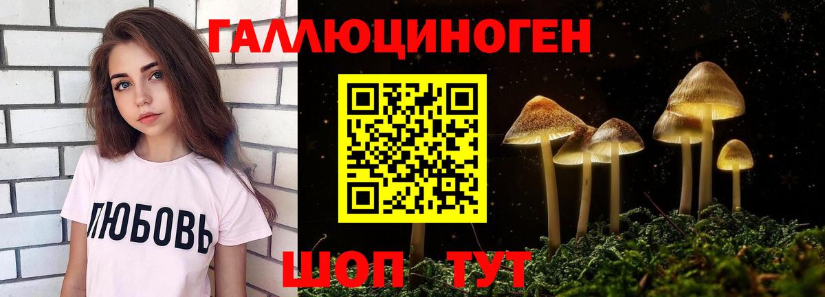 Гурьевск  купить  цена  Вход с VPN  Галлюциногенные грибы GOLDEN TEACHER 